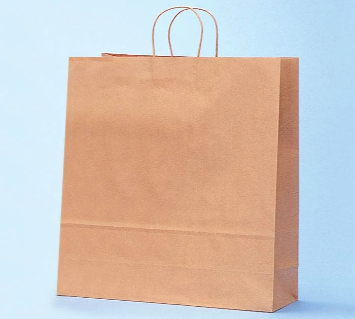 19 1/4"H SHOP TOTE