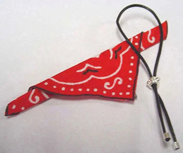 Bolo Tie and Scarf