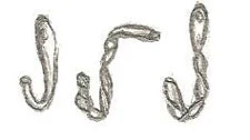 Small Hooks (Pack Of 3)