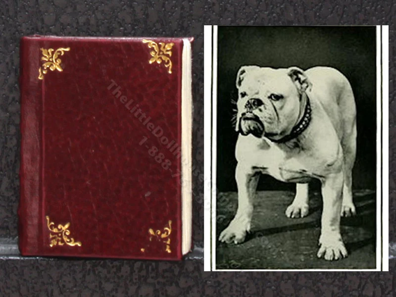 Miniature Book: 'Complete Book of the Dog'
