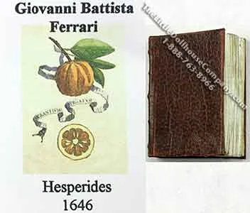 Miniature Book: 'Hesperides'