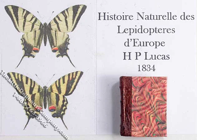 Miniature Book: 'Histoire Naturelle des Lépidoptères'