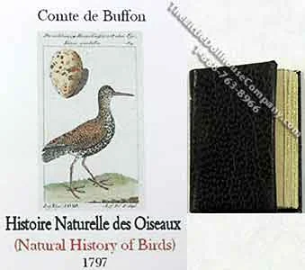 Miniature Book: 'Histoire Naturelle des Oiseaux'