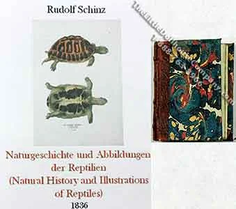 Miniature Book: 'Naturgeschichte und Abbildungen der Reptilian'