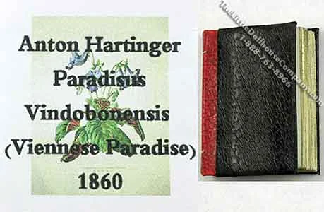Paradisus Vindobonensis (Viennese Paradise) Book