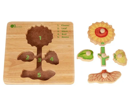 Qtoys Montessori Parts of a Plant Puzzle