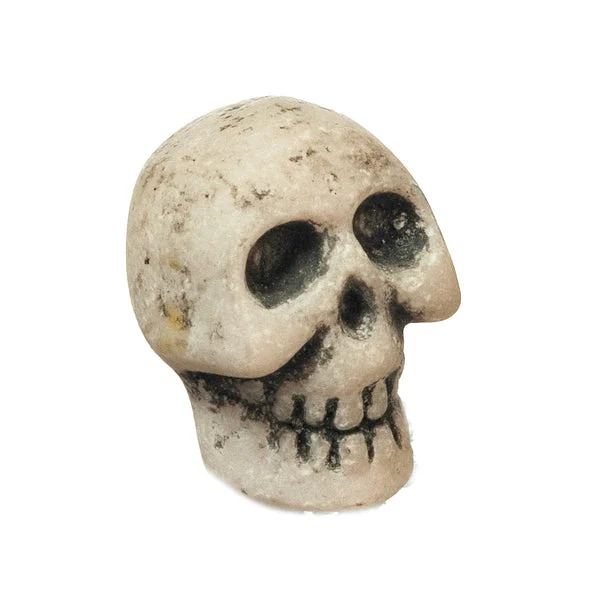 Skeleton Skull